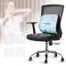 Tựa lưng văn phòng vỏ lụa mát nhiều hình cực cool GTL-10